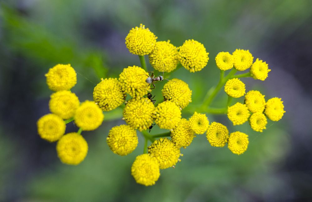 Другая жизнь