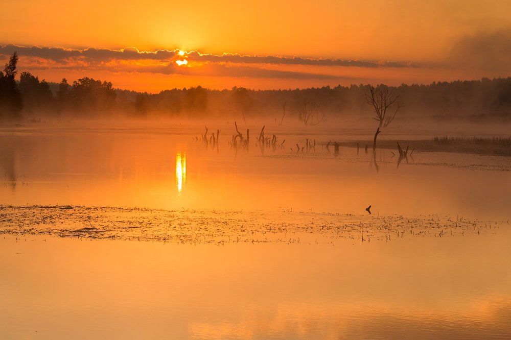 Затерянный пруд