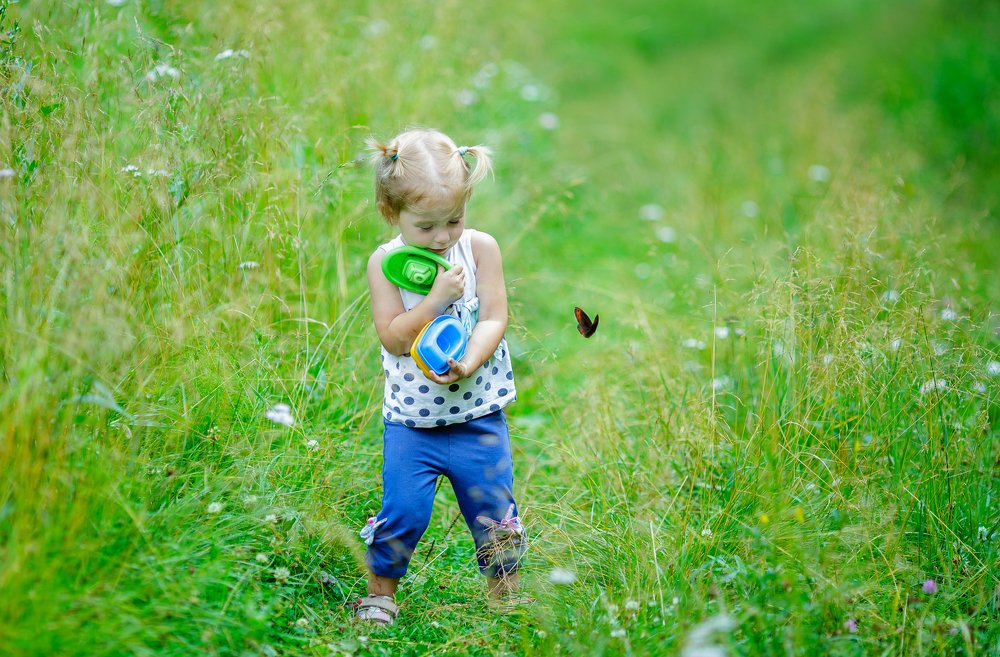 Флора и фауна