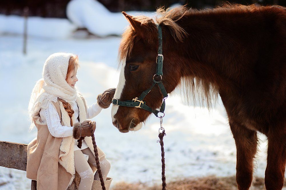Первое знакомство