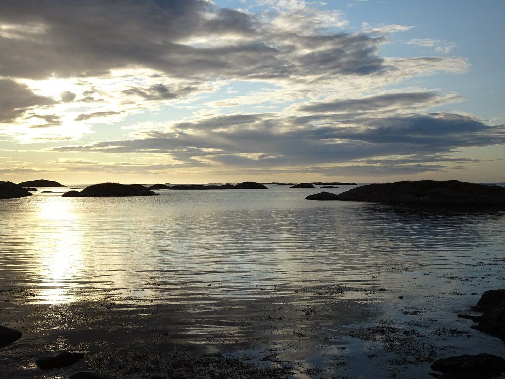 Норвежское море