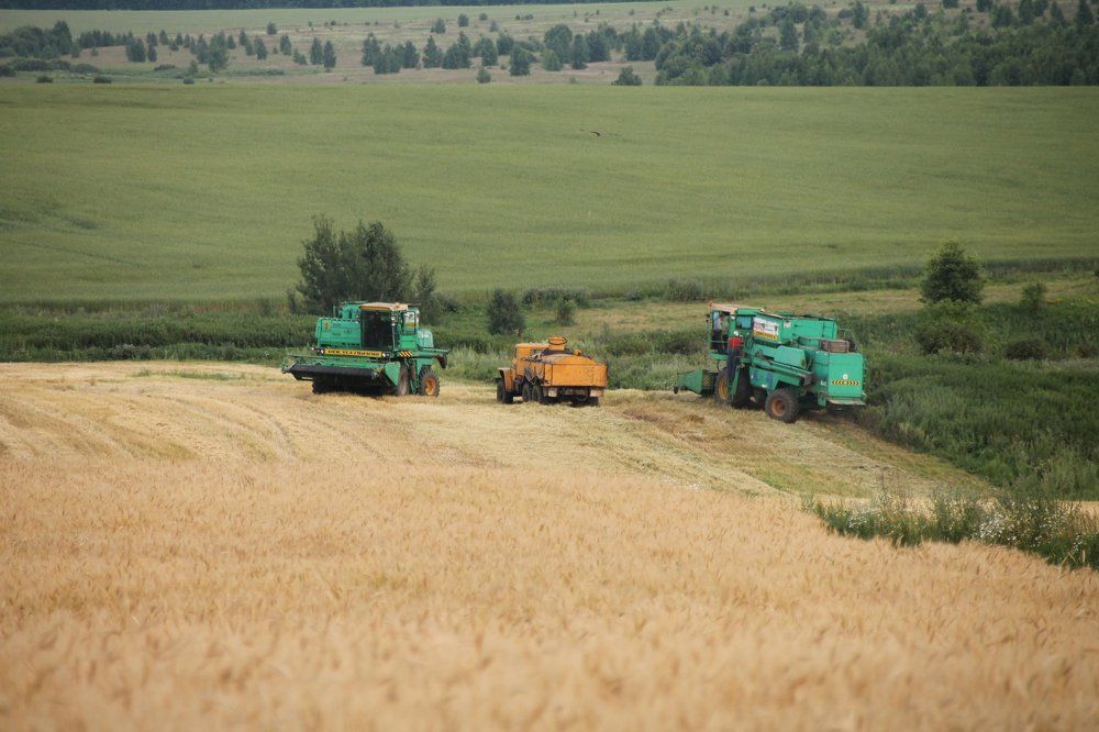 Photograph by Александр Борисов
