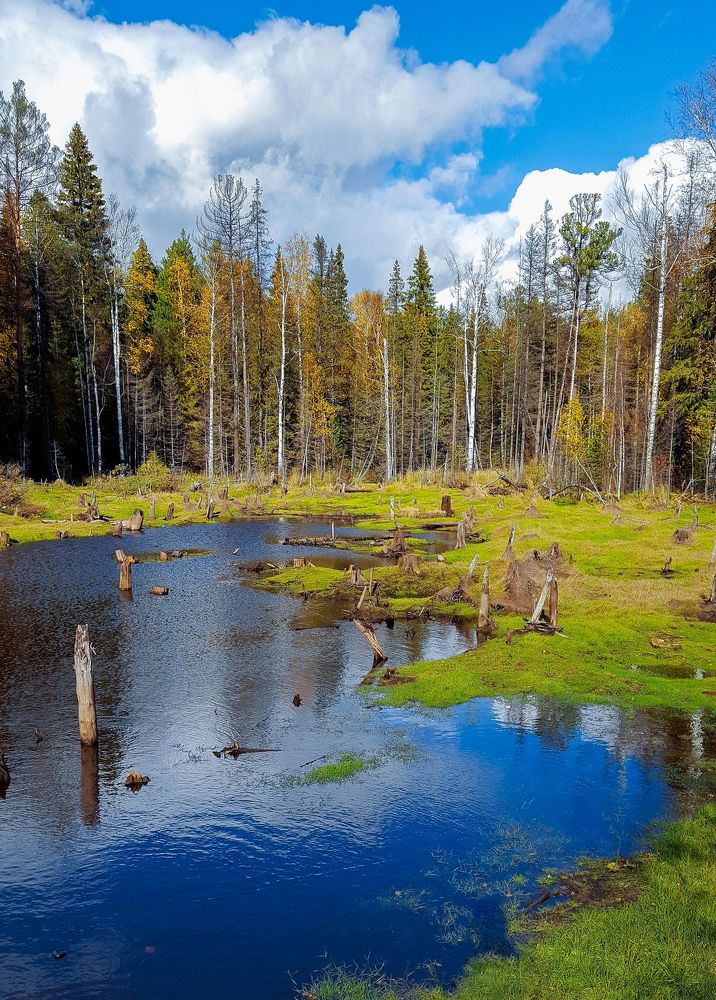 Осенний урал