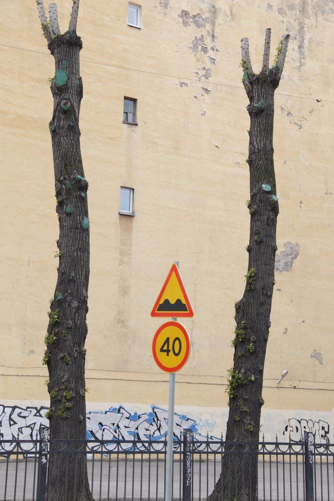 шпили большого города