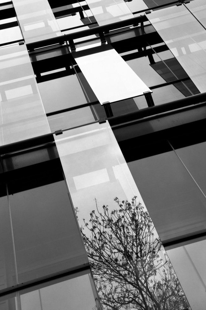 Искусство в измерении Блокчейн