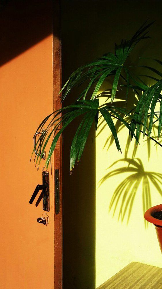 Photograph by Логинова Юлия