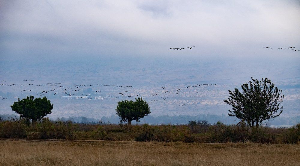 Photograph by Alexey Olkhovenko