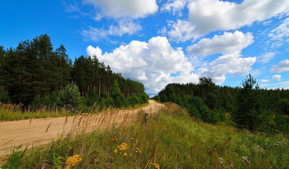 Дорога на Кологрив