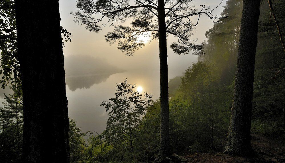 Туманное утро на Унже