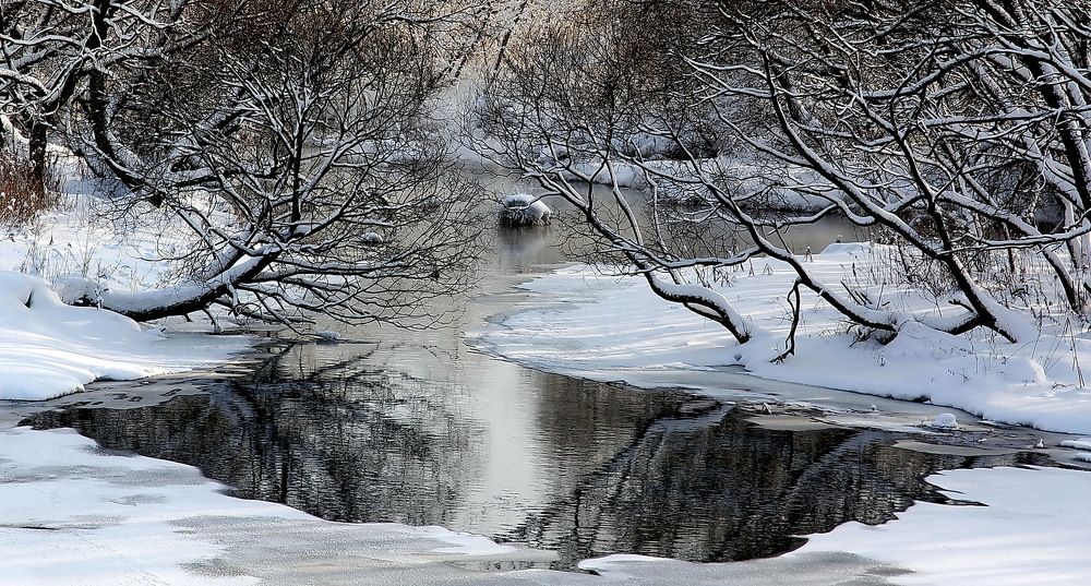 Зимняя сказка