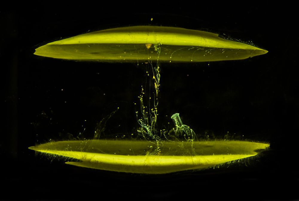 Обмен энергией