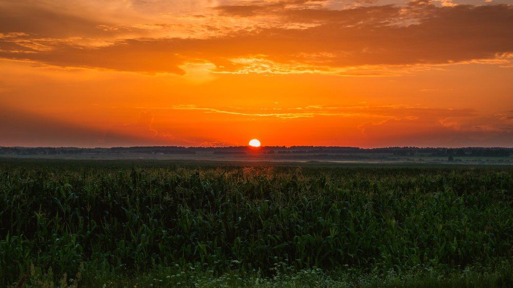 Последний июльский закат