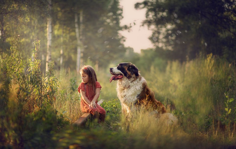 Photograph by Александра Черемохина