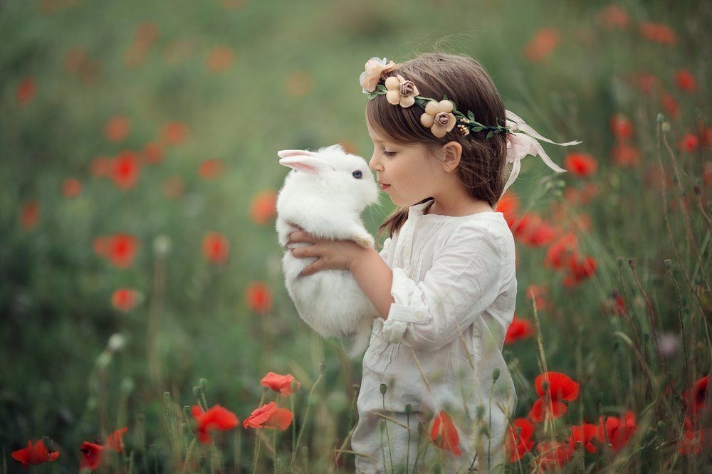 Фотография автора Александра Черемохина