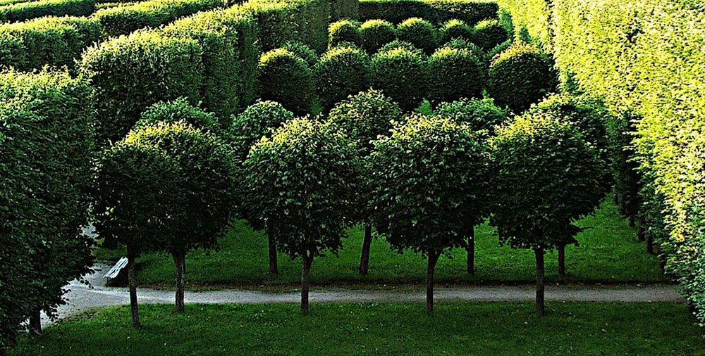 Фотография автора Владислава Андрюнина