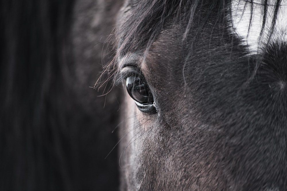 В твоих глазах - весь мир.
