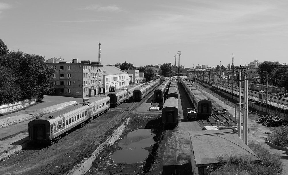 Photograph by Anna Pankratova