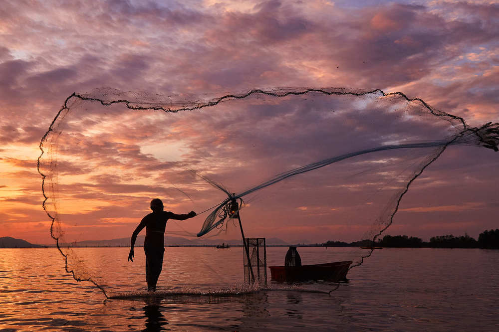 Casting the net