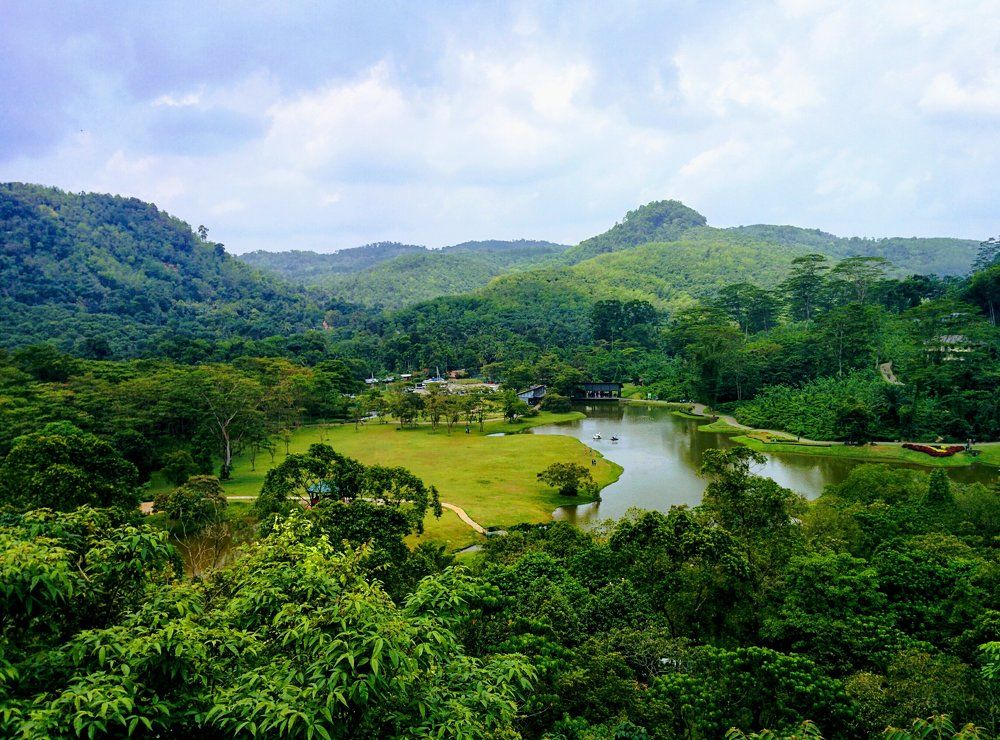 Nature