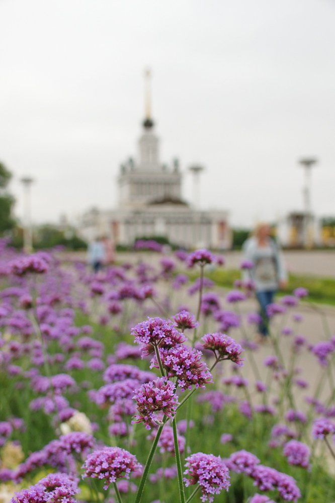 Photograph by 
