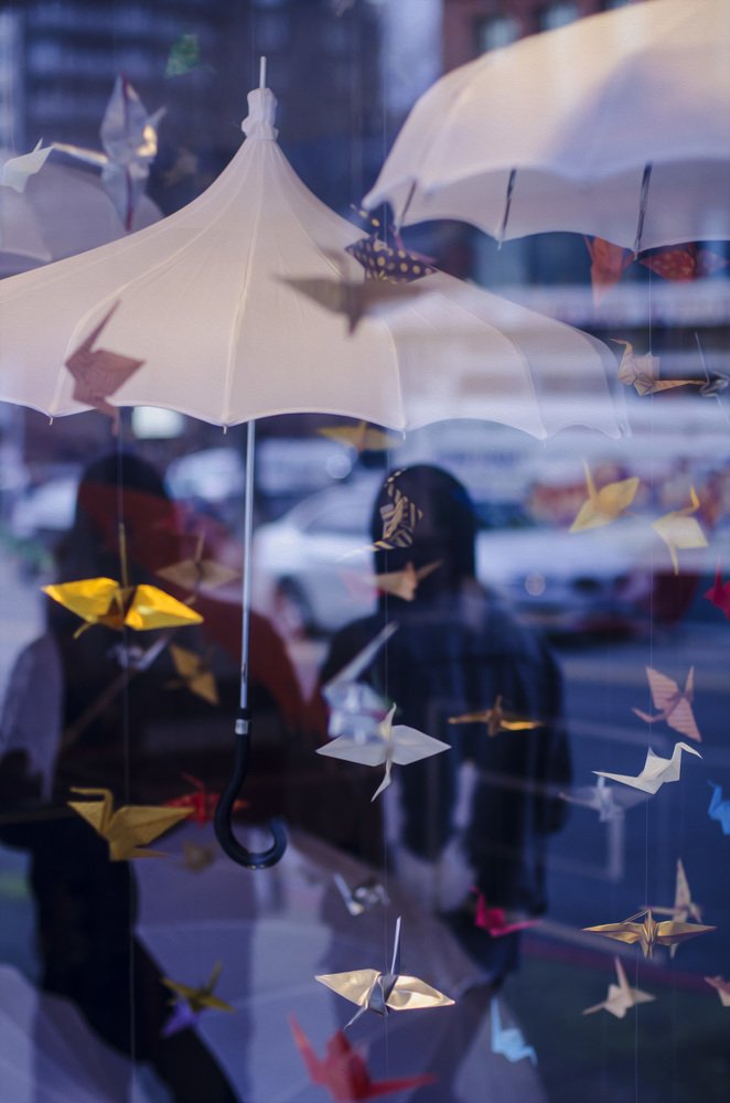 Let's fly together under the storm