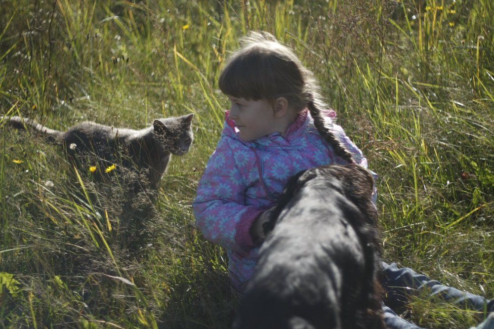 Света, Мари и Арчи