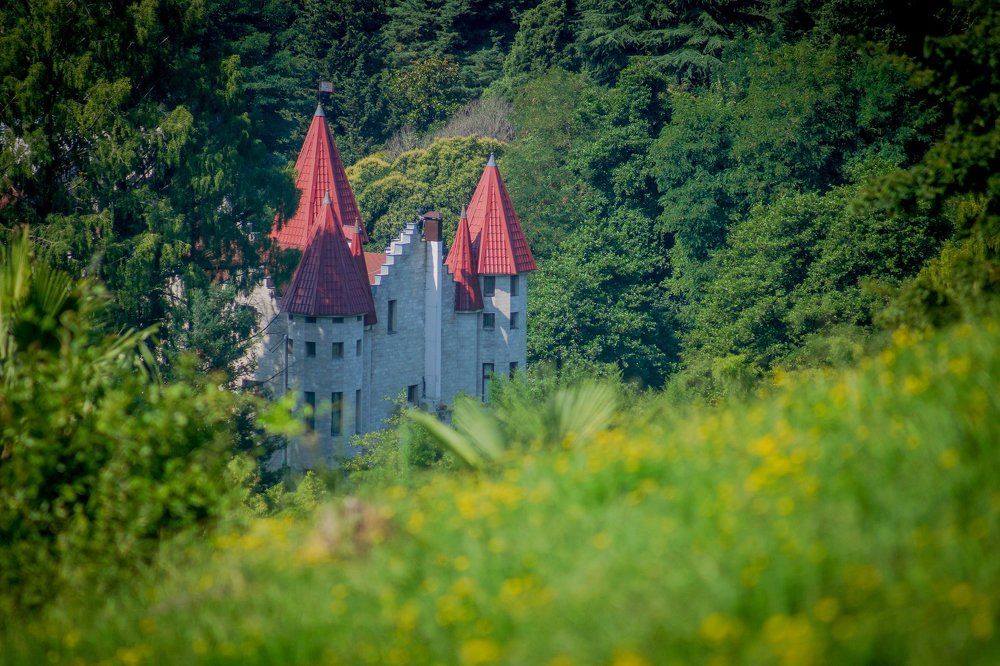 Замок Дракулы