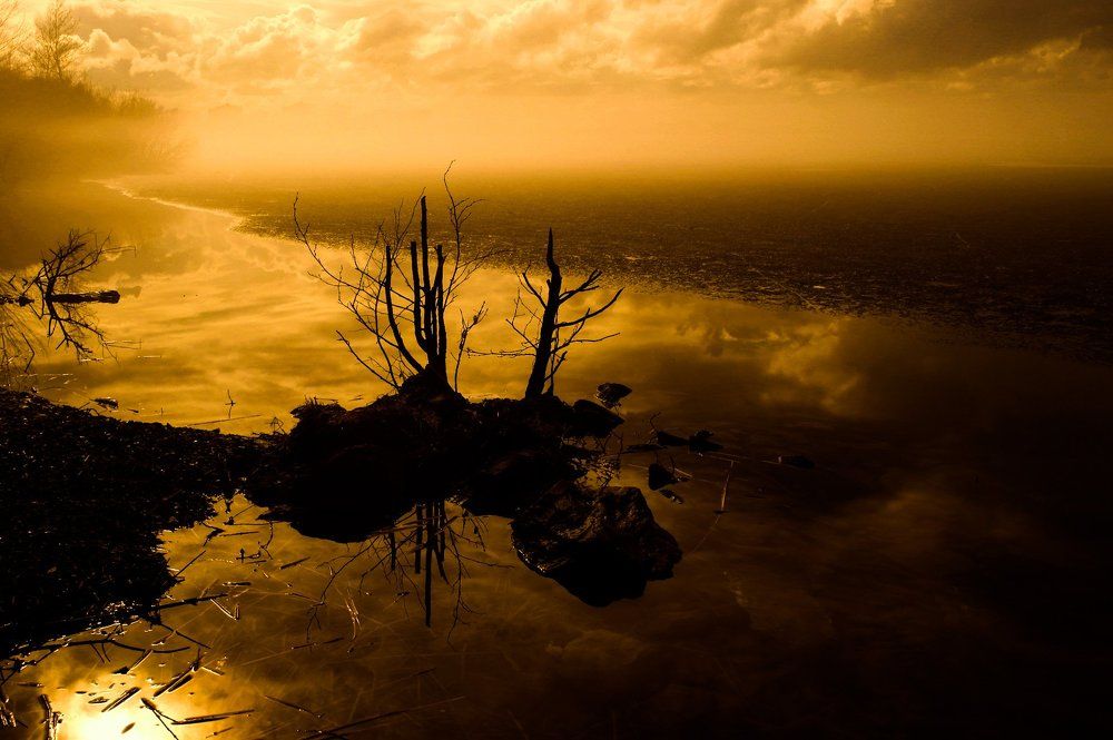 Photograph by Екатерина Новгородцева