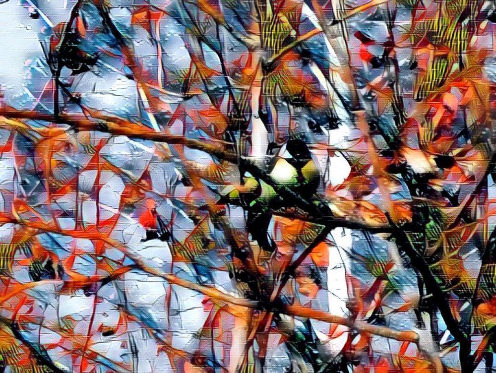 Photograph by Екатерина Новгородцева