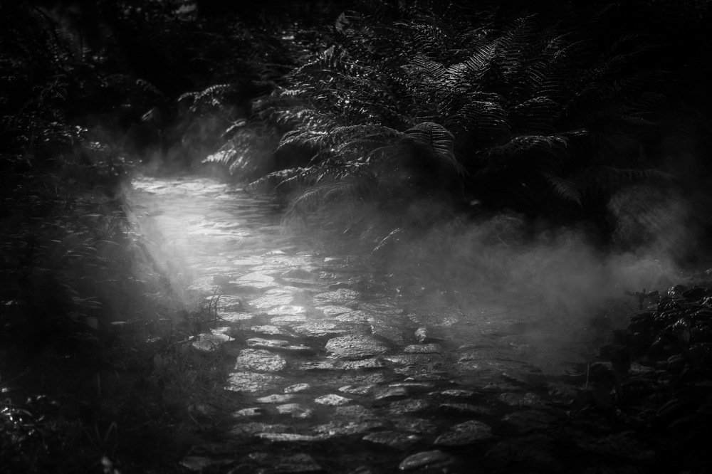 Там, за туманами...