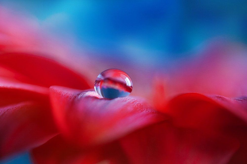 Photograph by Кабыжакова Валерия