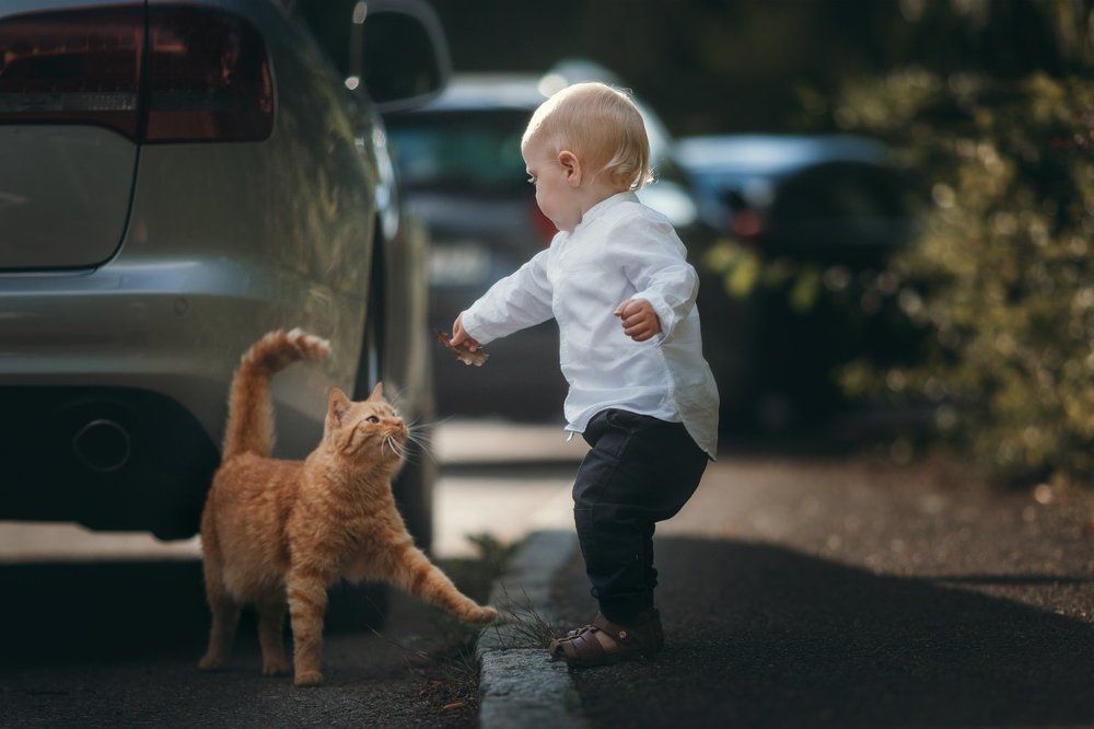 Would you like to be my friend?