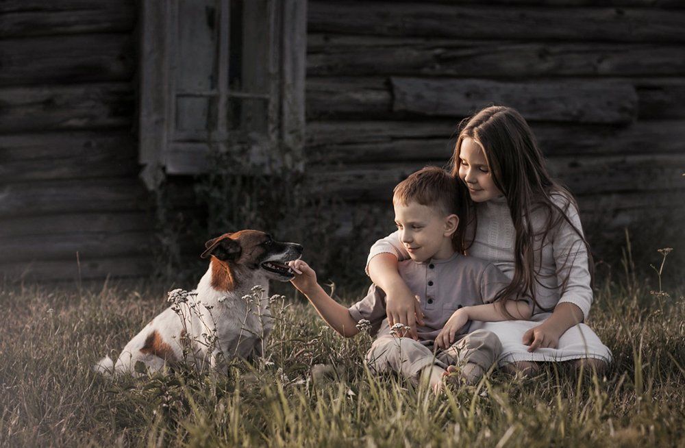 Лето в деревне