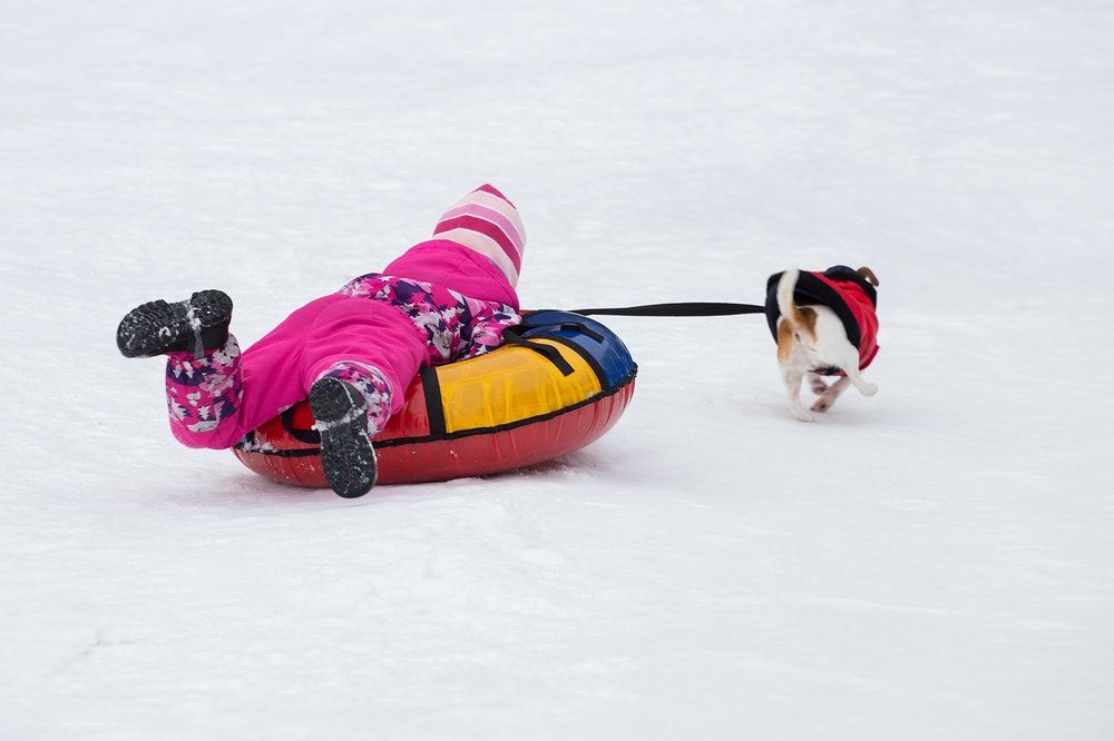 Photograph by Наталия Дурягина