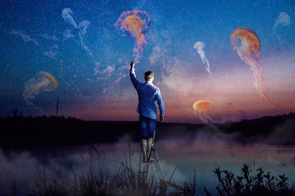 Воплощение реальности