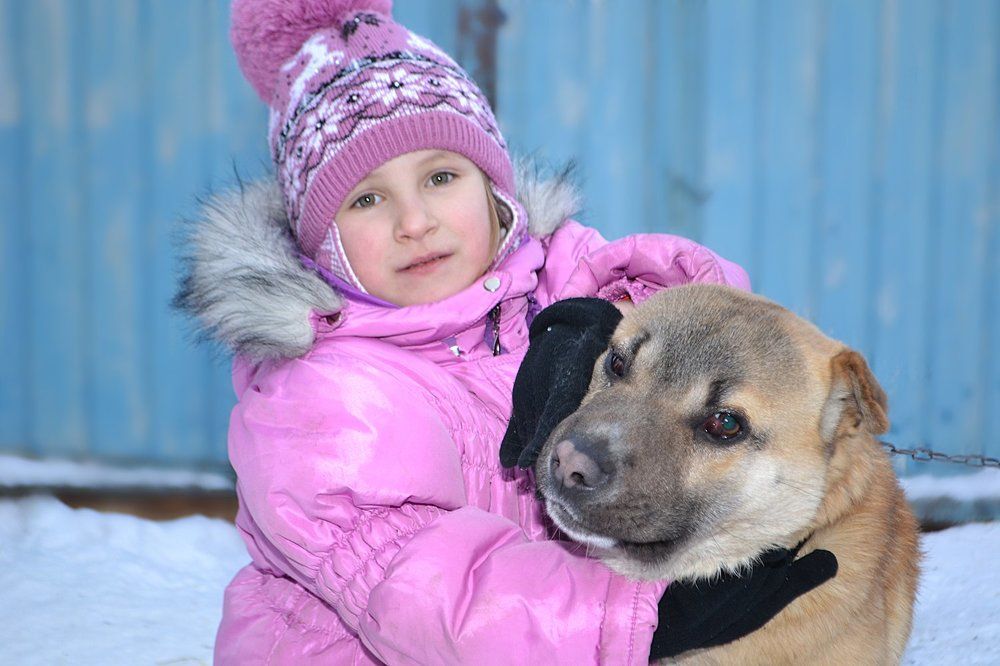 А говорят он бойцовый...