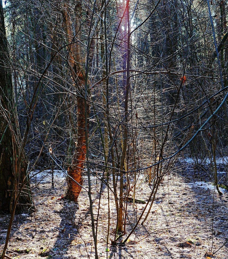 Фотография автора Valery Bel@kov