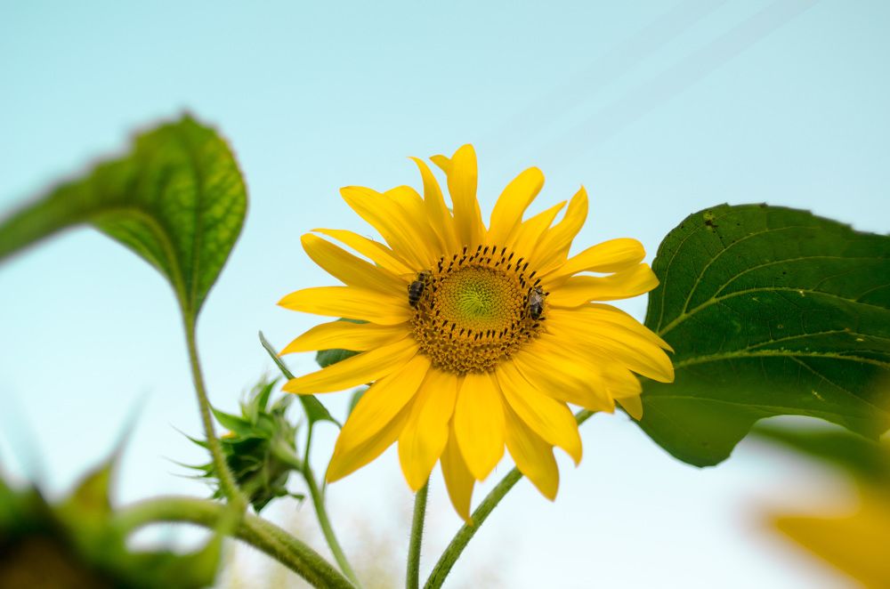 Август, до свидания )