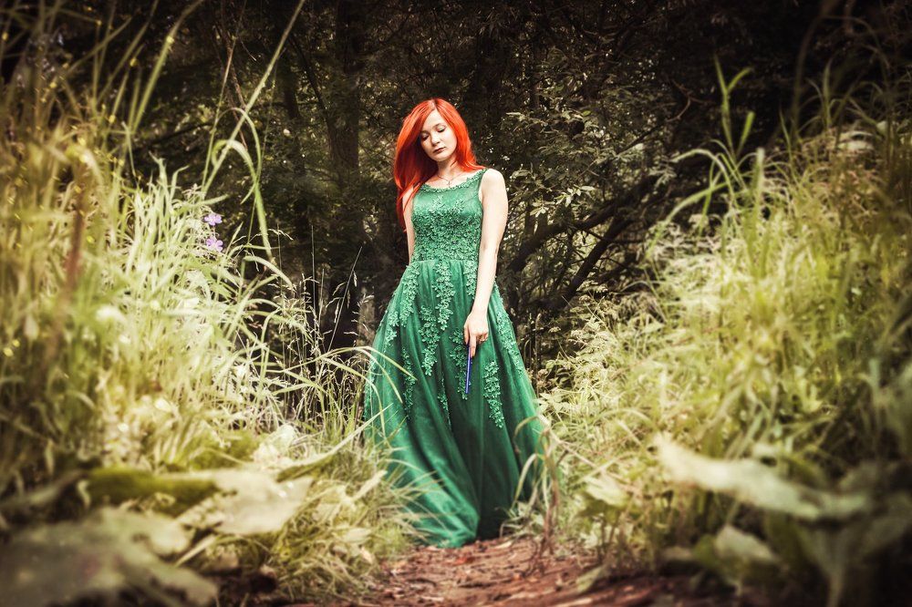 Музыка леса