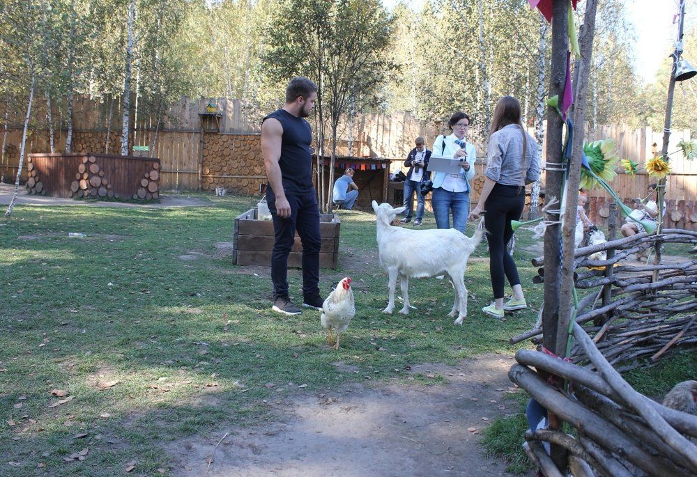 В контактном зоопарке.
