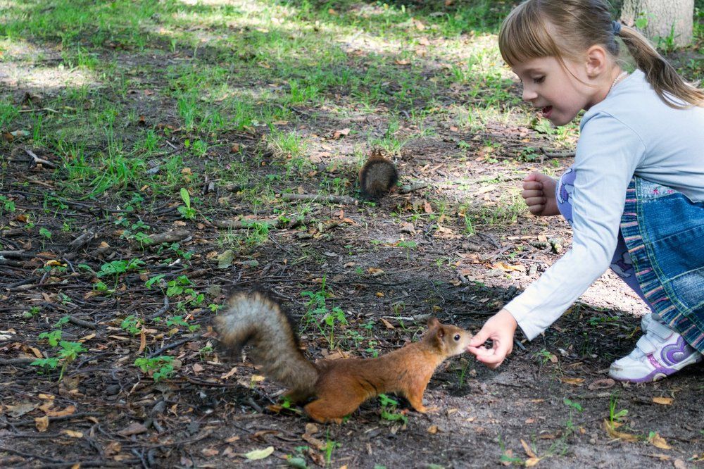 Девочка и белка