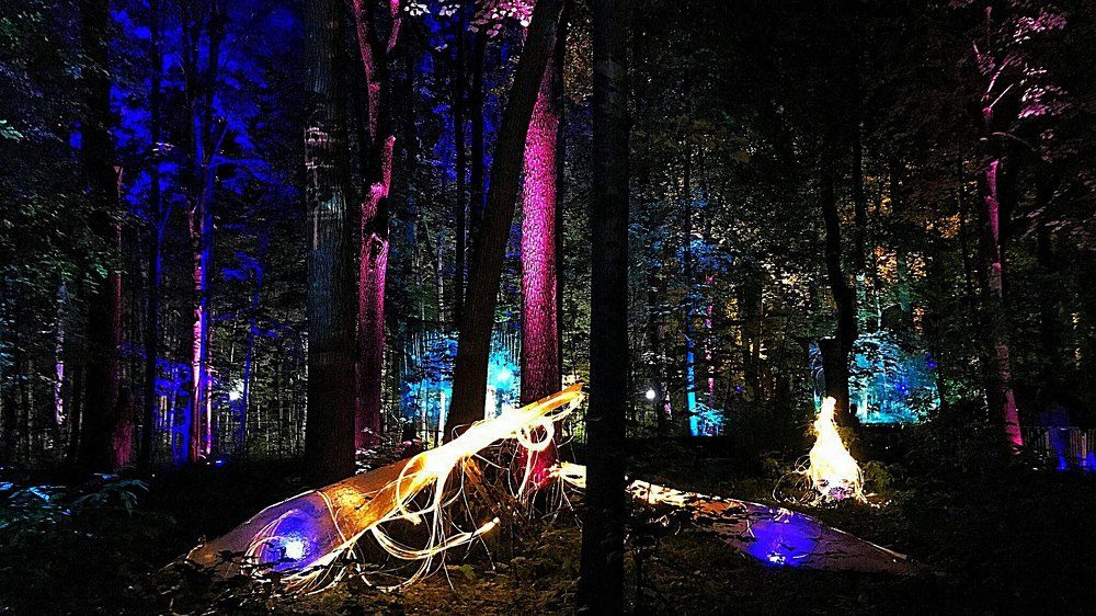 Сказочный лес