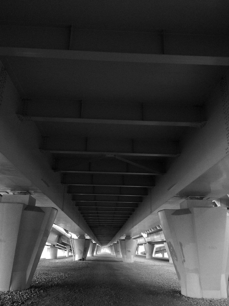 Фотография автора Светлана Дунаева