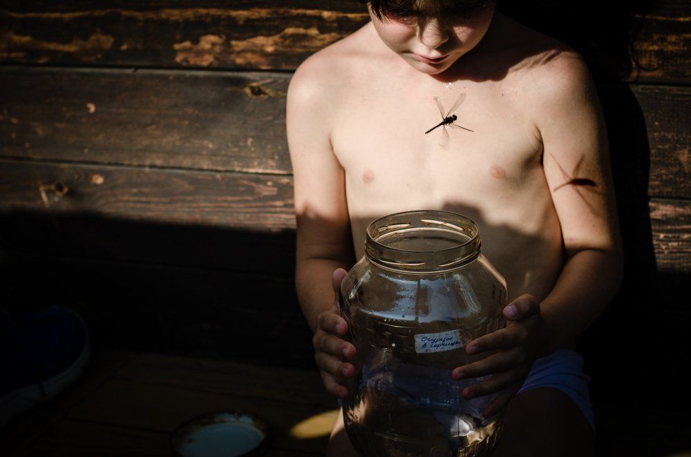 Девочка и стрекоза: лети!