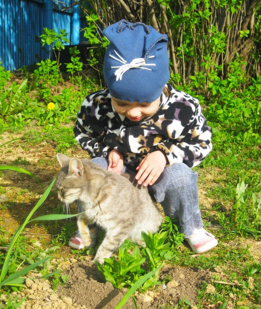 Ну прокати меня, котик!