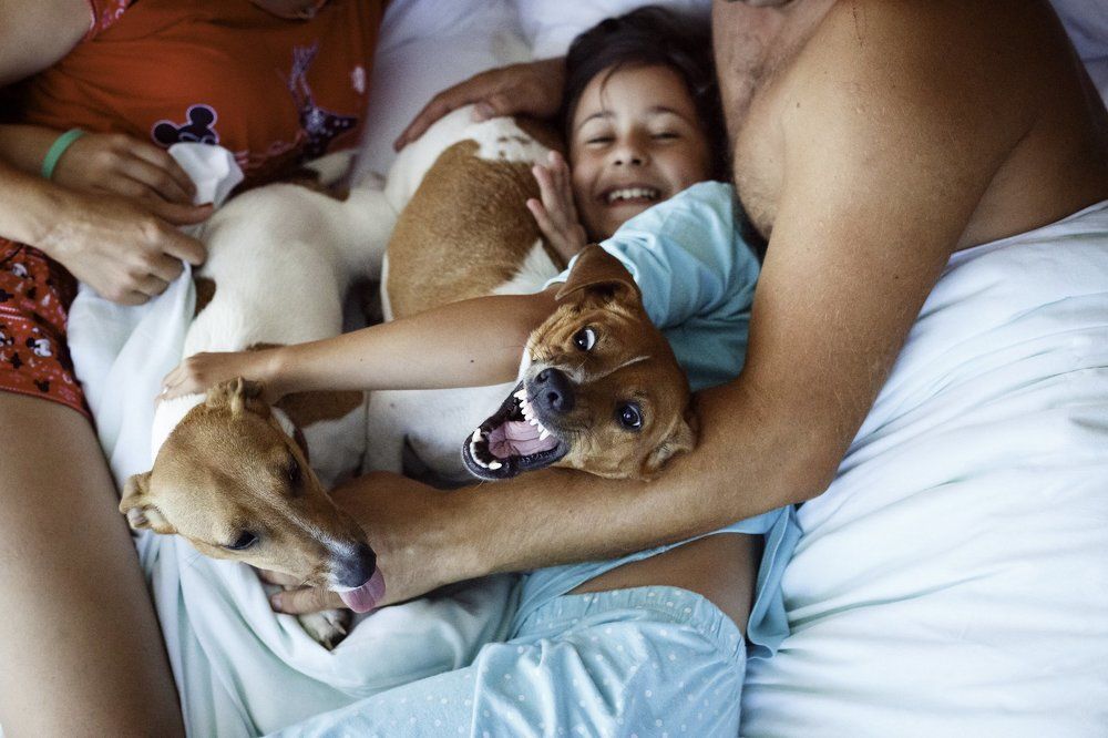 Когда утро начинается с улыбки