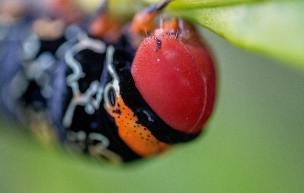 I've got my eyes on you