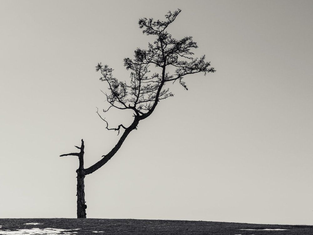 Байкальский минимализм