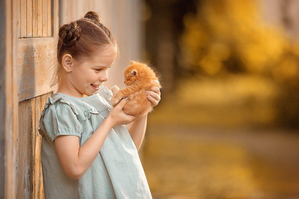 Комочек счастья