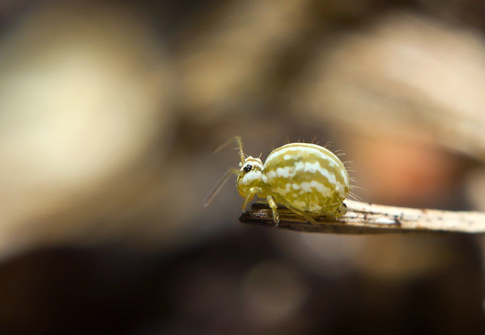 В пространстве одного миллиметра